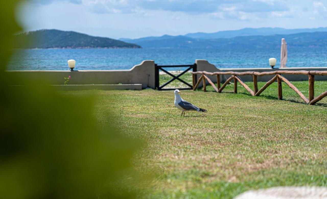 Alemar Estates Ouranoupolis Villa Buitenkant foto